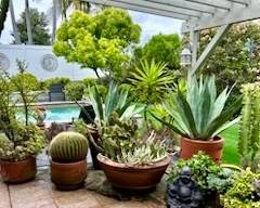 Healthy plants: You will need to bring a hand cart and the help to move large plants. 