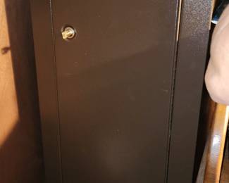 Other Small Gun Safe