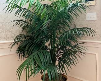 Faux Fern Plant