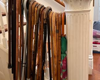 WALKING CANES