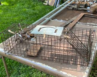 CRITTER TRAPS