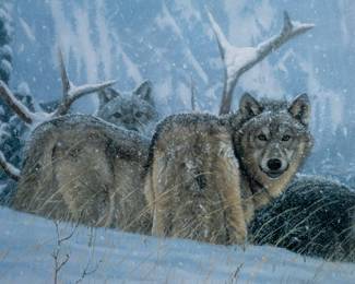"Winter Hill" a limited edition print by listed artist John Banovich of the U.S.A., made in 1996. Exclusively published for "Friends of the NRA" this piece is signed and labelled NRA Print Number 70/650. Banovich (1964-) is well known for his paintings on wildlife, birds, and African animals.
