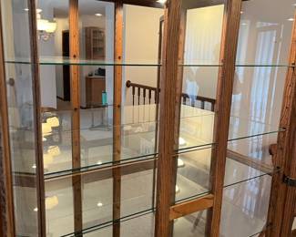 Two Door Lighted Cabinet