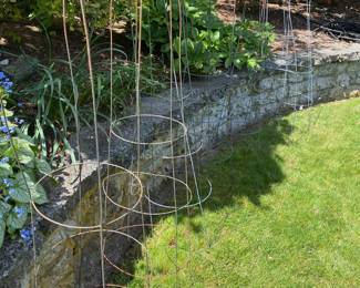 Assortment of Tomato Cages