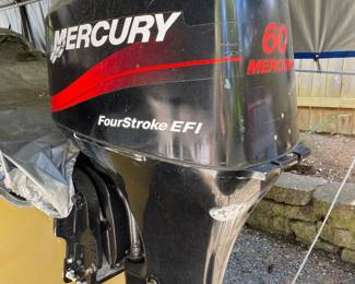 Mercury 60 hp Four Stroke Gas Outboard Motor