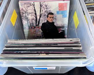 Vintage Vinyl: Our homeowner worked for Acuff-Rose publishing. Prices range from (majority) $4 each with some topping out at $20