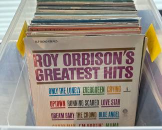Vintage Vinyl: Our homeowner worked for Acuff-Rose publishing. Prices range from (majority) $4 each with some topping out at $20