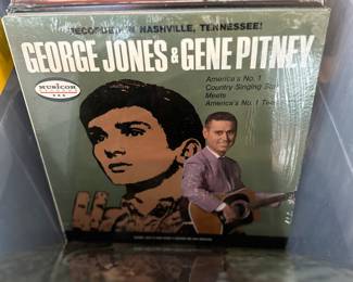 Vintage Vinyl: Our homeowner worked for Acuff-Rose publishing. Prices range from (majority) $4 each with some topping out at $20