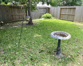 Bird Bath
