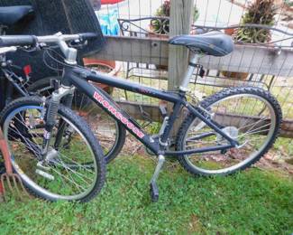 Mongoose 21 Speed Bike