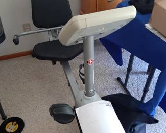 Schwinn A20 Recumbent Bike