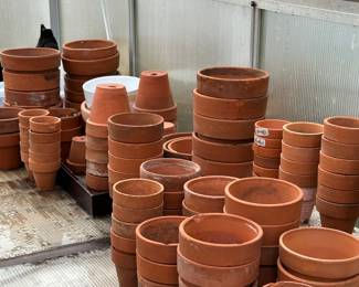 Terra cotta pots 