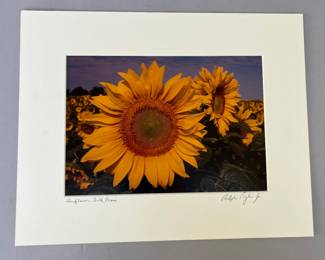 Ralph Pugli, Jr, Sunflower Field, Peconic, Photograph On Paper, Circa 2000

