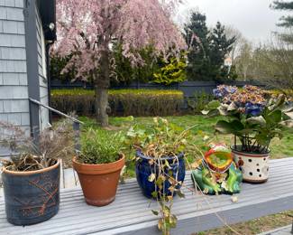 Pots & perennials 