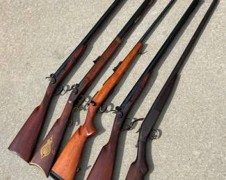 Over a dozen long guns and ammunition