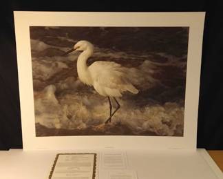 Island Shores Snowy Egret Lord of the Marshes Carl Brenders Signed and Numbered Prints