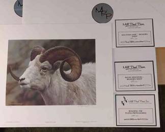 Bighorn Sheep And Pronghorns Carl Brenders Prints