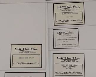 Carl Brenders Prints Leopards And Cougars