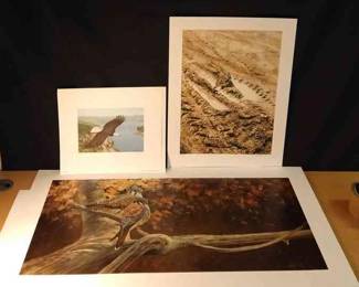 Solberg, Ned Smith And Raymond Ching Prints