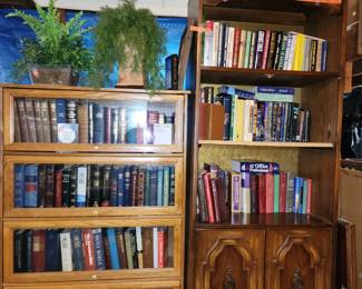 Newer barrister case, book shelf and books