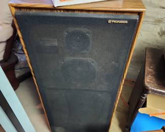 Pioneer speakers