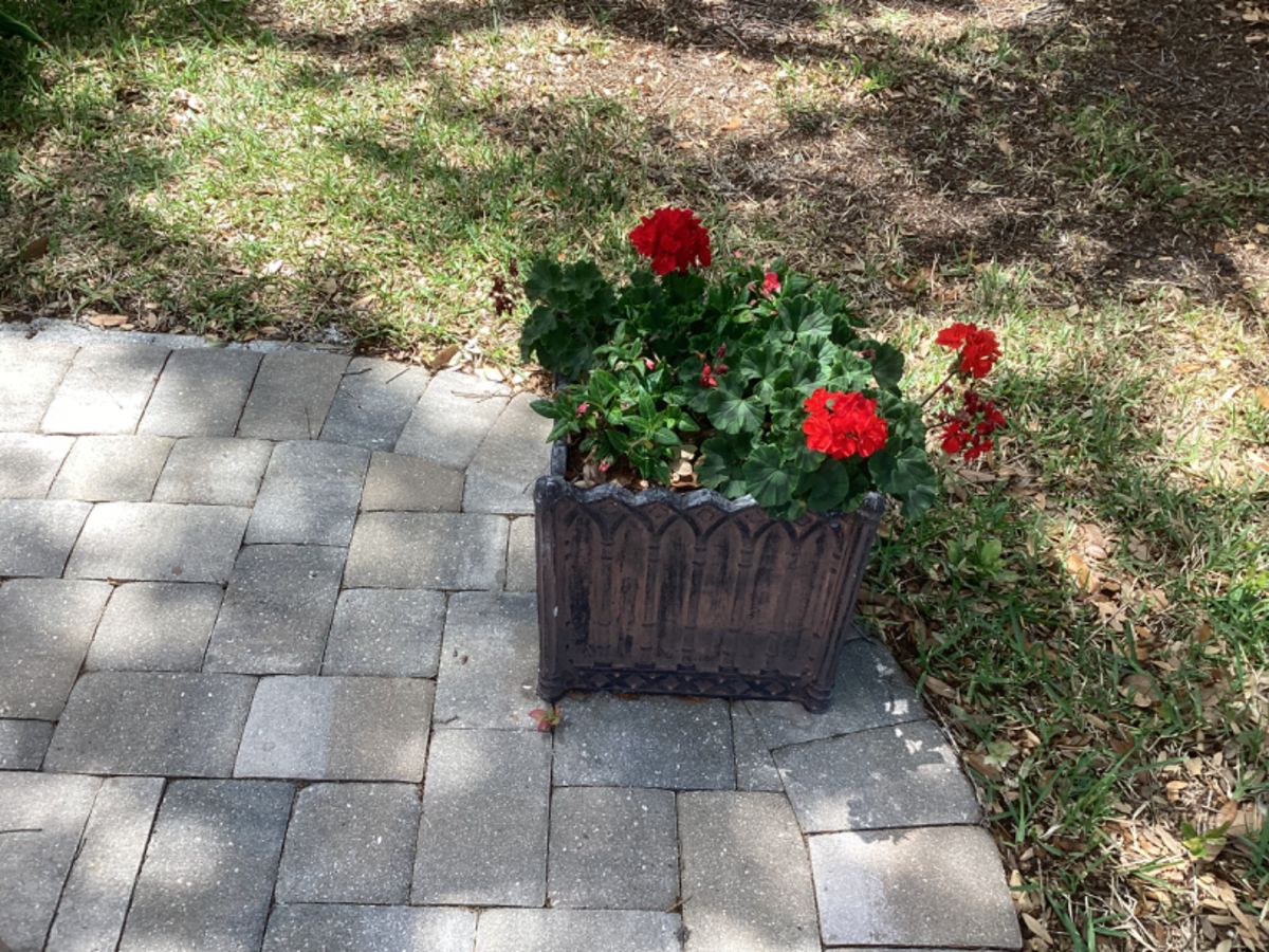 SunCoast Estate Sales in Venice, FL starts on 5/3/2024