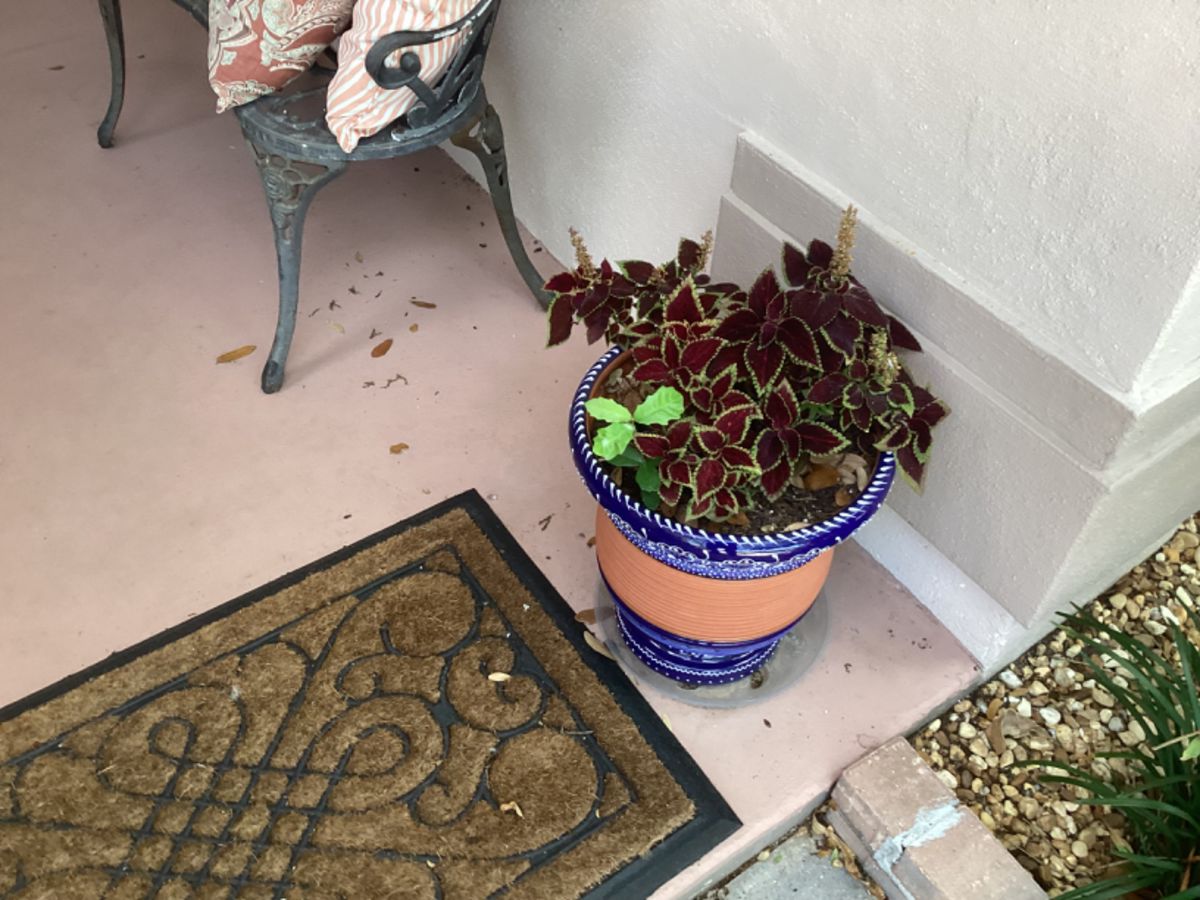 SunCoast Estate Sales in Venice, FL starts on 5/3/2024