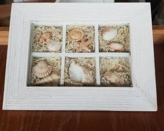 Seashell shadowbox