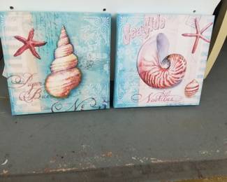 Seashell art on canvas
