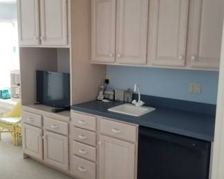 Built in wet bar; GE undercabinet fridge