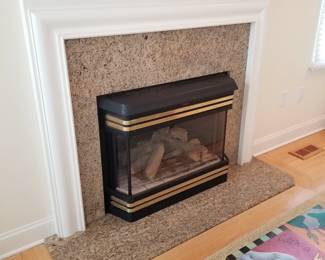 Fireplace insert