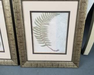 Fern frond art