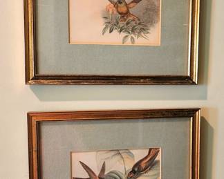 Hummingbird lithographs with silk matting 