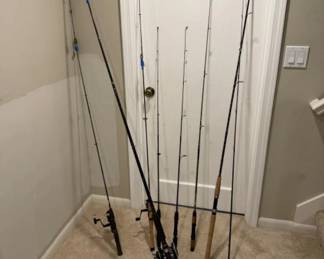 Fishing Rod Variety: Fenwick - Shimano - Garcia - Penn
