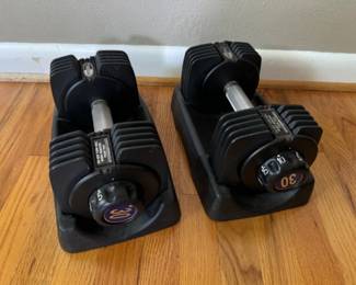 ProBell Adjustable 30lb Dumbbell Set