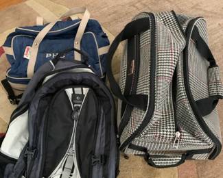 Backpack and carry bags