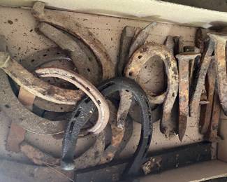 Iron Spikes and Horseshoes