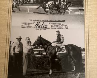 Vintage Race Horse Photo  Halia 1964