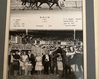 Vintage Racehorse photo Halia 1964