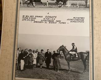Vintage racehorse photo Sanaps 1964