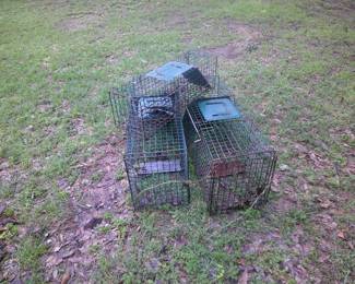animal traps