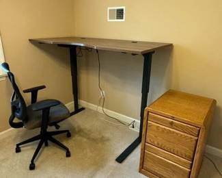 Electric Adjustable Desk Raised