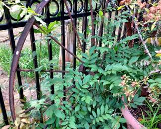 We have two of these real iron wagon wheels!