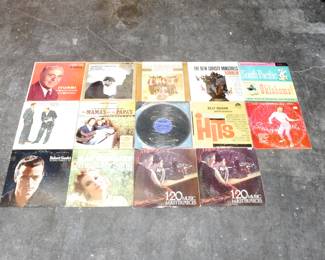 Lot of 14 Vintage Vinyl Records 
