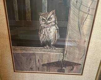 RJ McDonald owl print