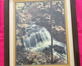 “Golden  Serenity” framed Photo by J. R O’Neil