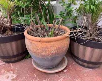 MW263Two Palms And A Pot