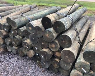 Bundle of 24 78 x 8 Treated Posts