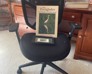 Desk Chair