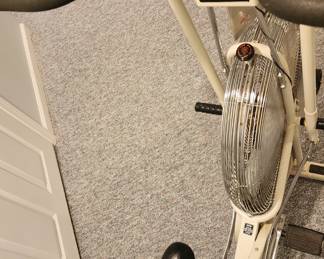 Schwinn Airdyne Bike